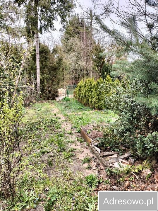 Działka rod Kajetany. Zdjęcie 11