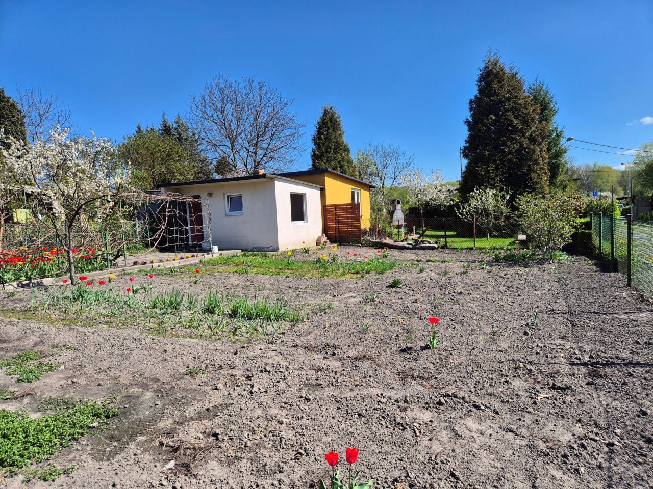 Działka rod Chorzów Batory, ul. Niedźwiedziniec. Zdjęcie 2