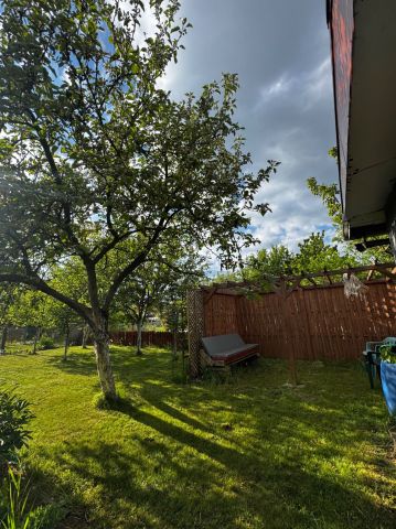 Działka rekreacyjna Opole Zaodrze. Zdjęcie 1