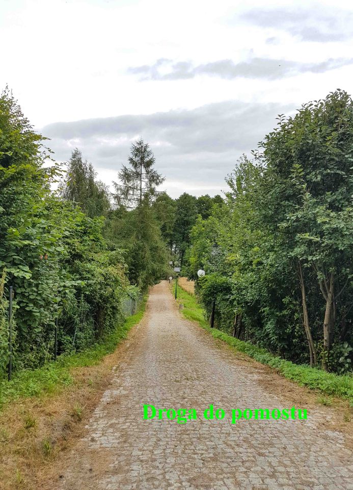 Działka rolno-budowlana Tynwałd Jezierzyce. Zdjęcie 14