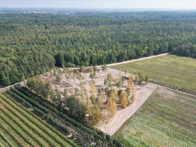 Działka budowlana Zimnice. Zdjęcie 1