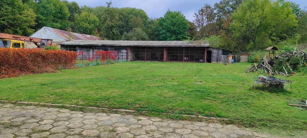 Hala/magazyn Trzeszczany Pierwsze. Zdjęcie 3