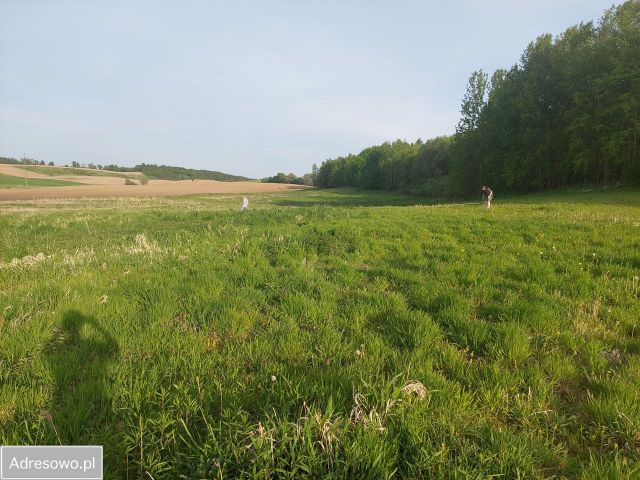 Działka budowlana Raniewo. Zdjęcie 1