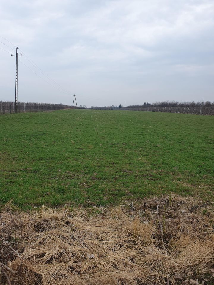 Działka rolno-budowlana Wiatrowiec. Zdjęcie 2