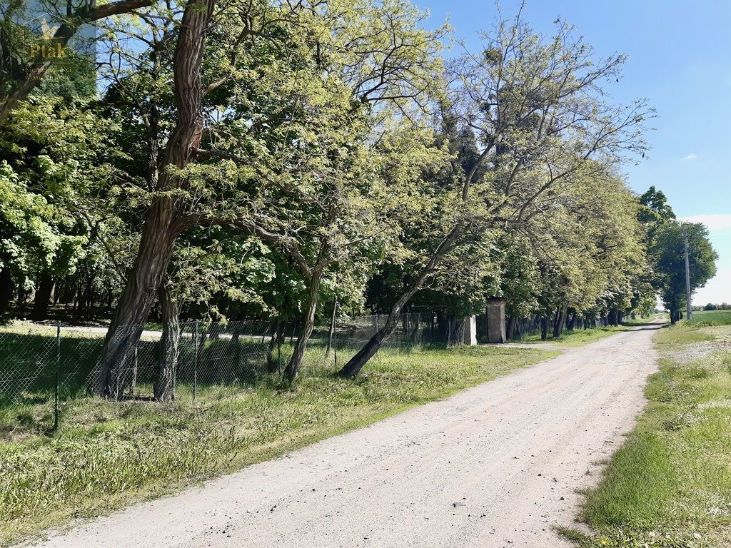 Działka budowlana Luciny. Zdjęcie 9