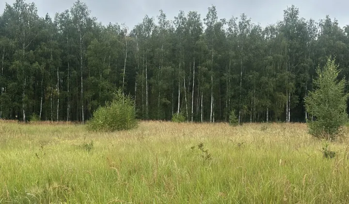 Działka siedliskowa Kuźnica Głogowska Myszyniec, Tulipanowa