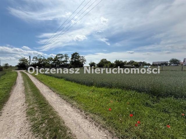 Działka budowlana Sicienko. Zdjęcie 4