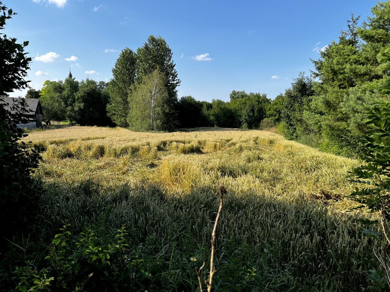 dom wolnostojący, 3 pokoje Czarnocin. Zdjęcie 16