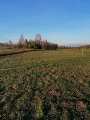 Działka rolno-budowlana Gniewce. Zdjęcie 1