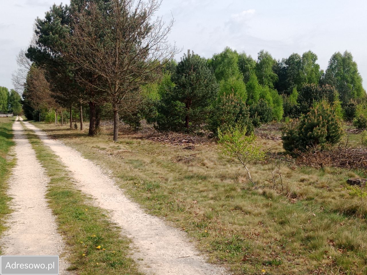 Działka rolno-budowlana Zabrodzie. Zdjęcie 2