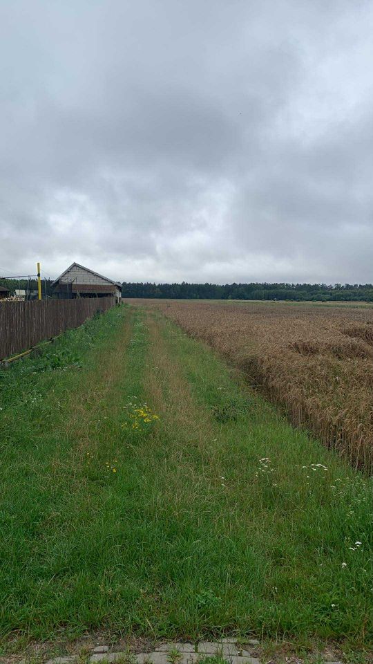 Działka rolno-budowlana Lubień