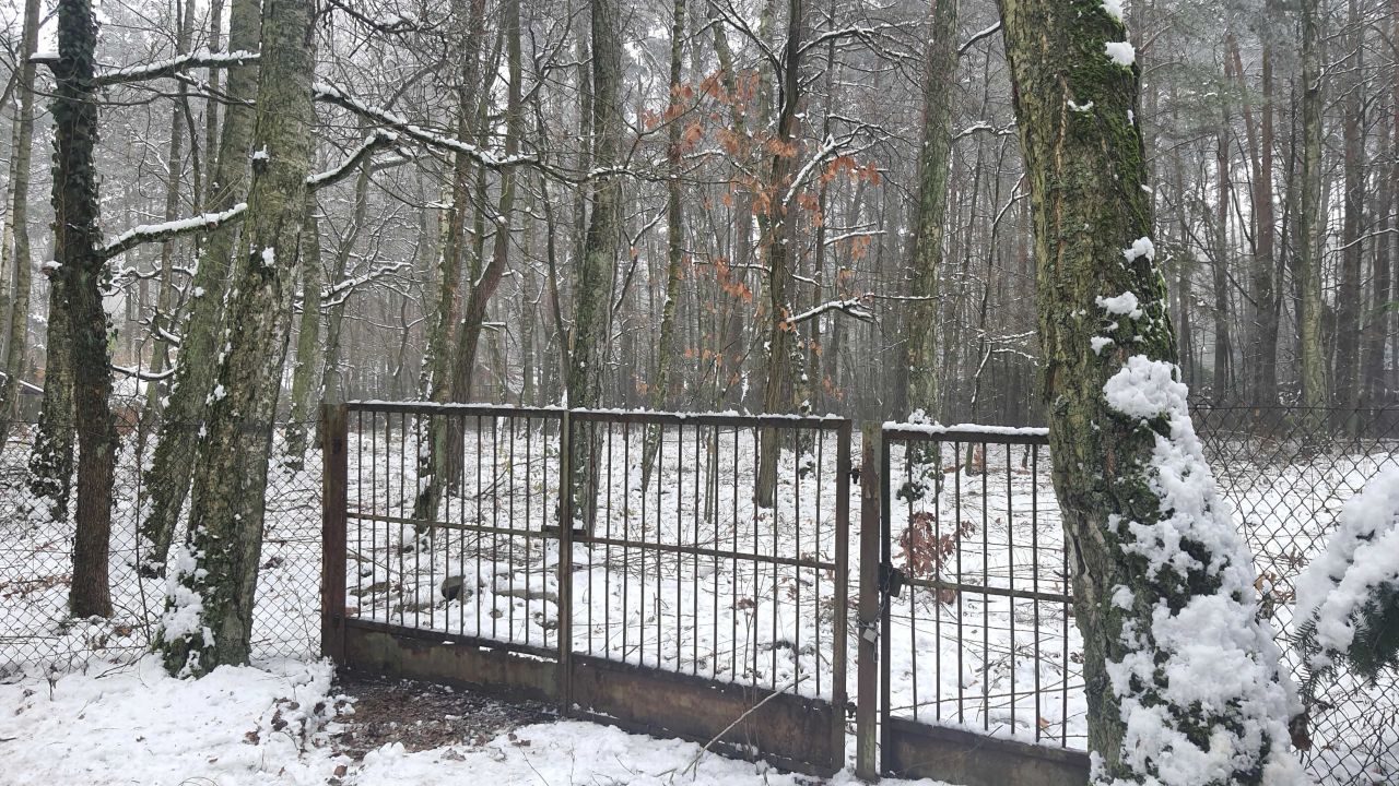 Działka budowlana Zofiówka, ul. Cienista. Zdjęcie 6