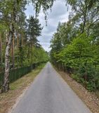 Działka inwestycyjna Julianów Lesiewski. Zdjęcie 2