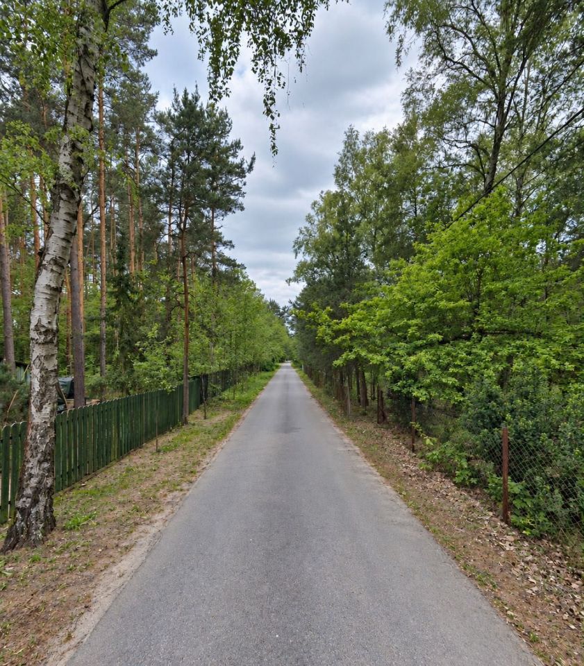 Działka inwestycyjna Julianów Lesiewski. Zdjęcie 3