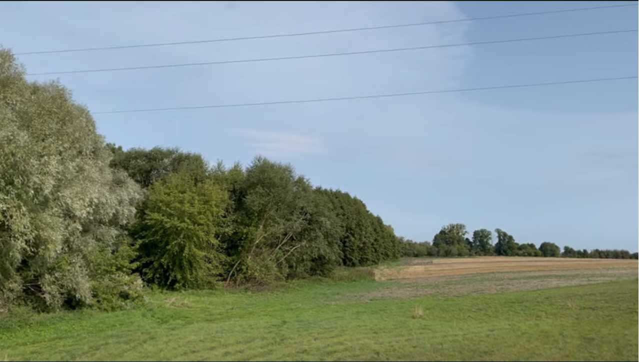 Działka budowlana Marynin. Zdjęcie 2