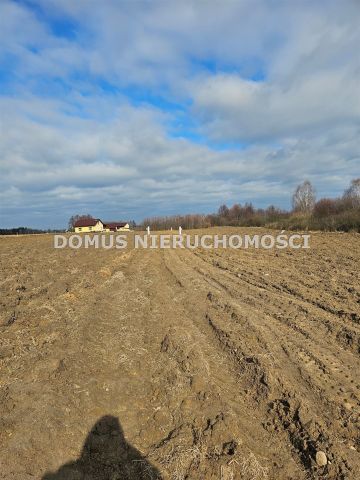 Działka budowlana Rozworzyn. Zdjęcie 4