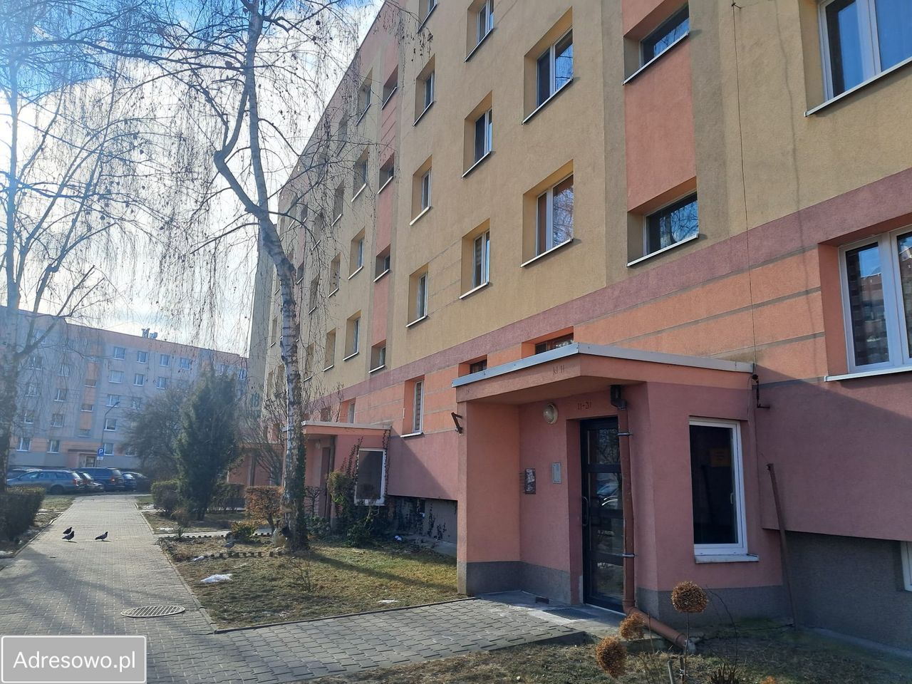 Mieszkanie 1-pokojowe Częstochowa Wrzosowiak, ul. Wierzbowa. Zdjęcie 4