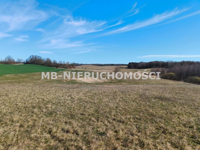 Działka rolna Parcz. Zdjęcie 11