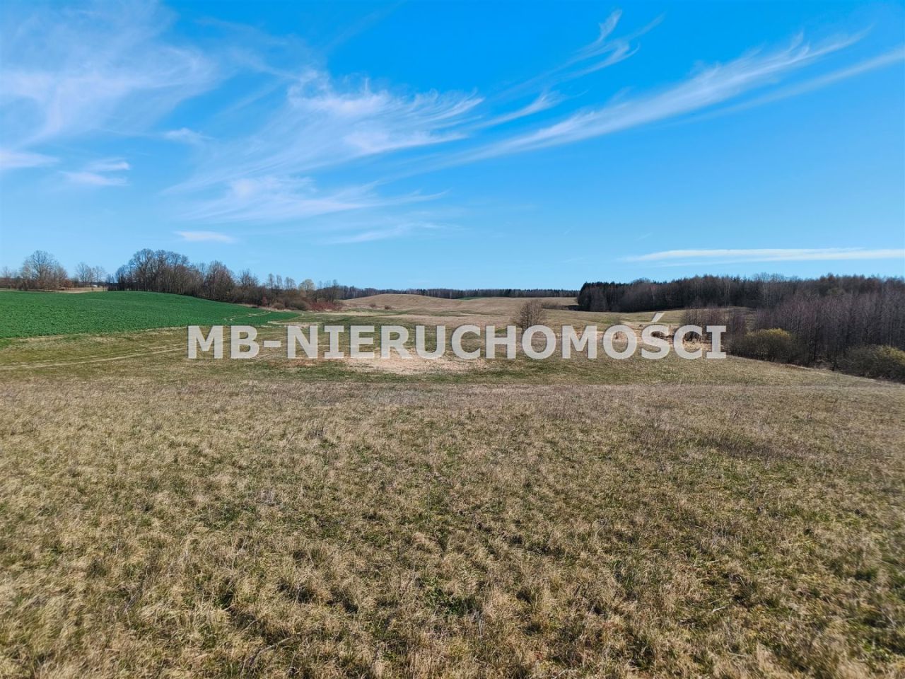 Działka rolna Parcz. Zdjęcie 11