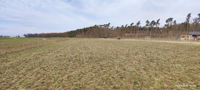 Działka budowlana Śliwniki Kowalówek. Zdjęcie 1