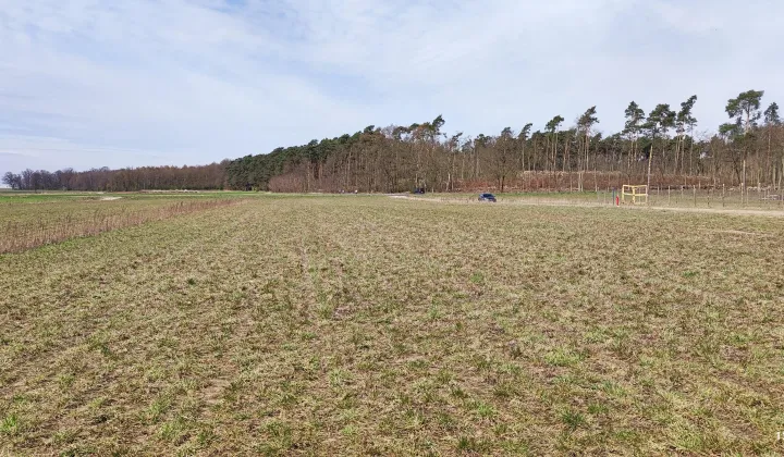 Działka budowlana Śliwniki Kowalówek