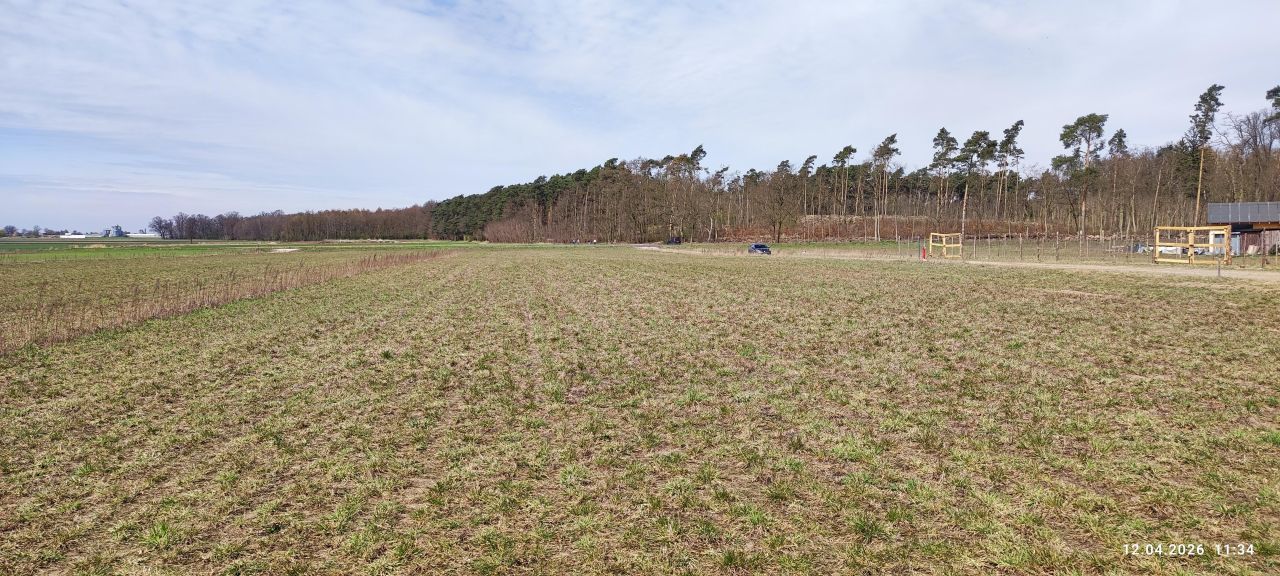 Działka budowlana Śliwniki Kowalówek. Zdjęcie 1