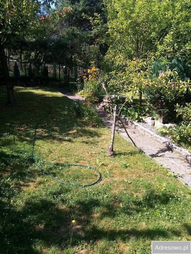 Działka rod Sosnowiec. Zdjęcie 4