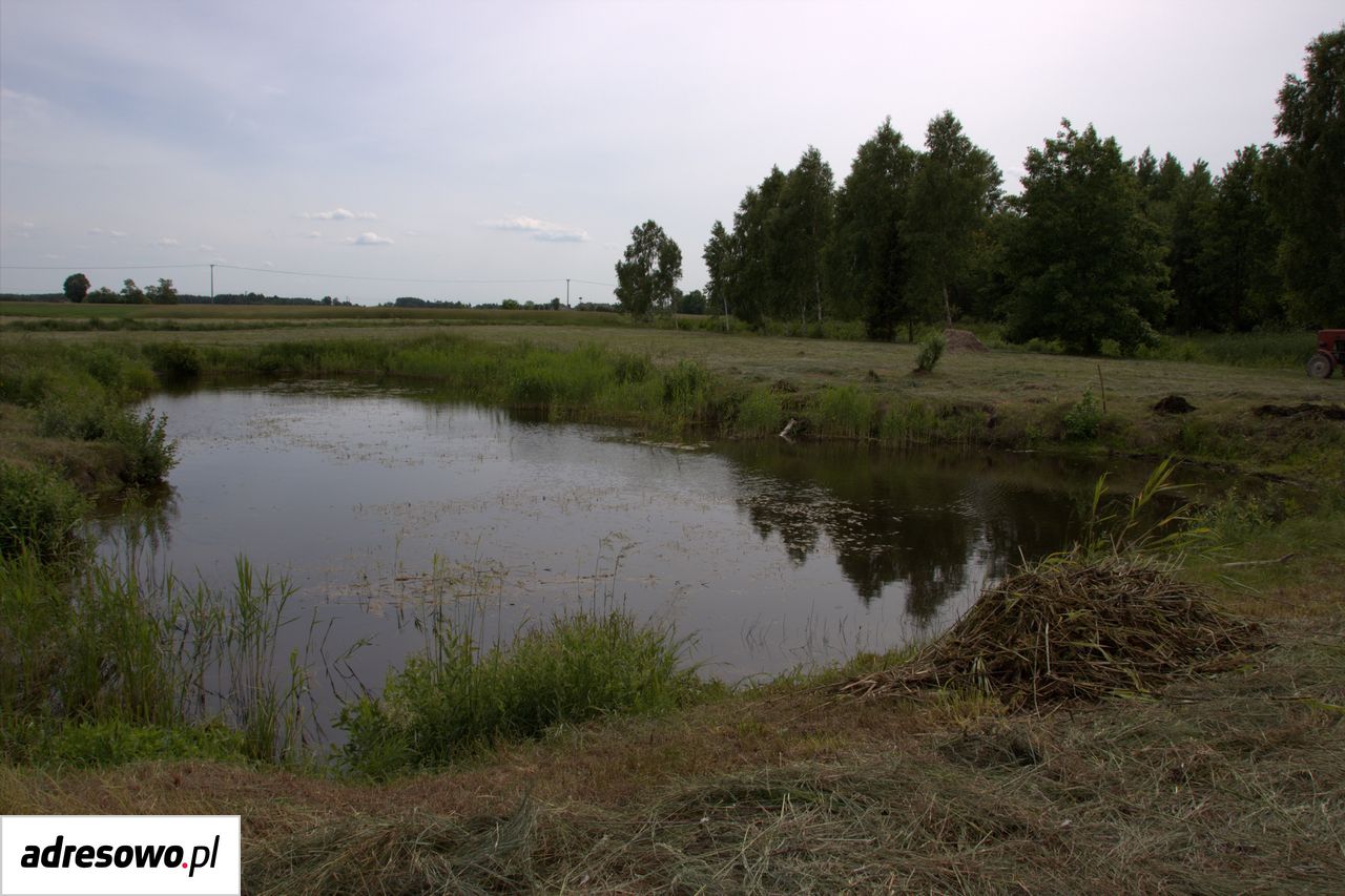 Działka siedliskowa Modrzewie. Zdjęcie 3