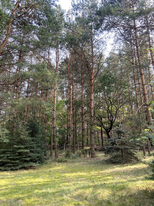 dom wolnostojący Józefin. Zdjęcie 3