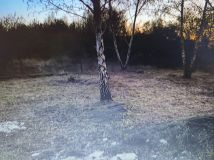 Działka budowlana Rozpędziny. Zdjęcie 2