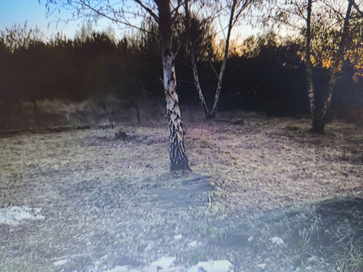 Działka budowlana Rozpędziny. Zdjęcie 3