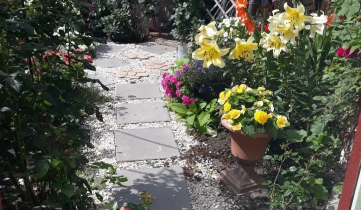 Mieszkanie 3-pokojowe Tolkmicko, ul. Portowa