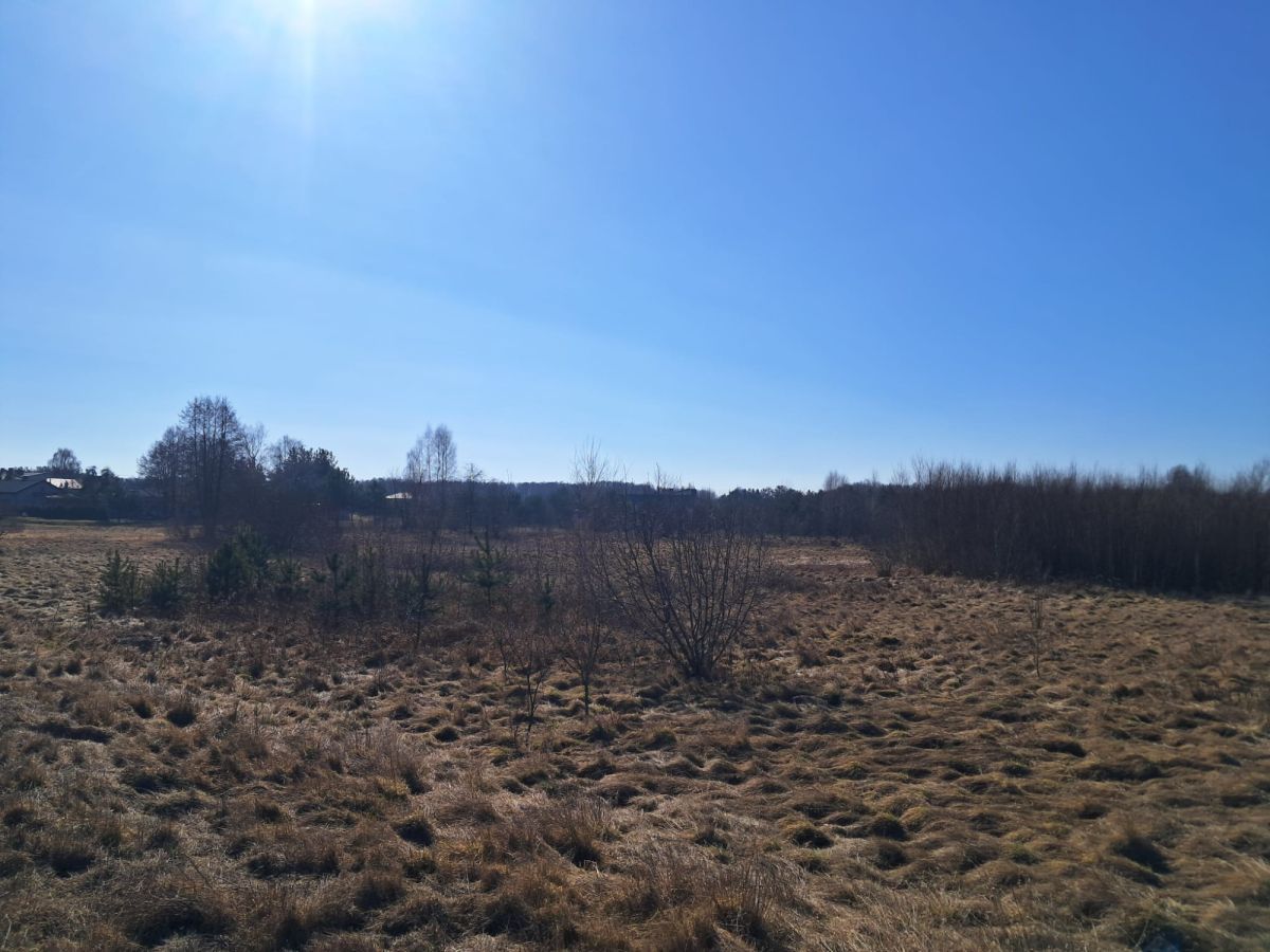 Działka inwestycyjna Aleksandria. Zdjęcie 3