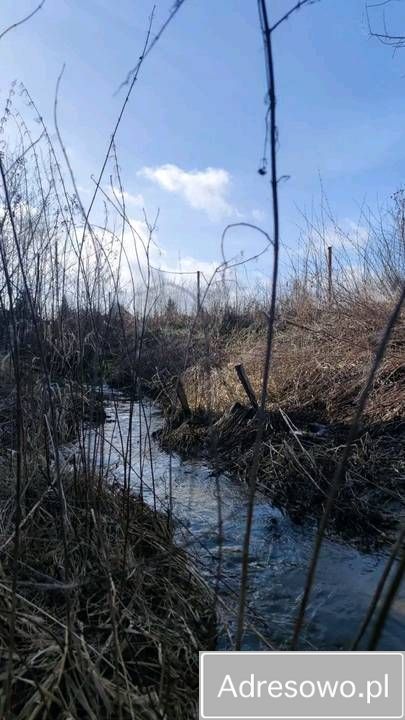 Działka budowlana Szymbory. Zdjęcie 4