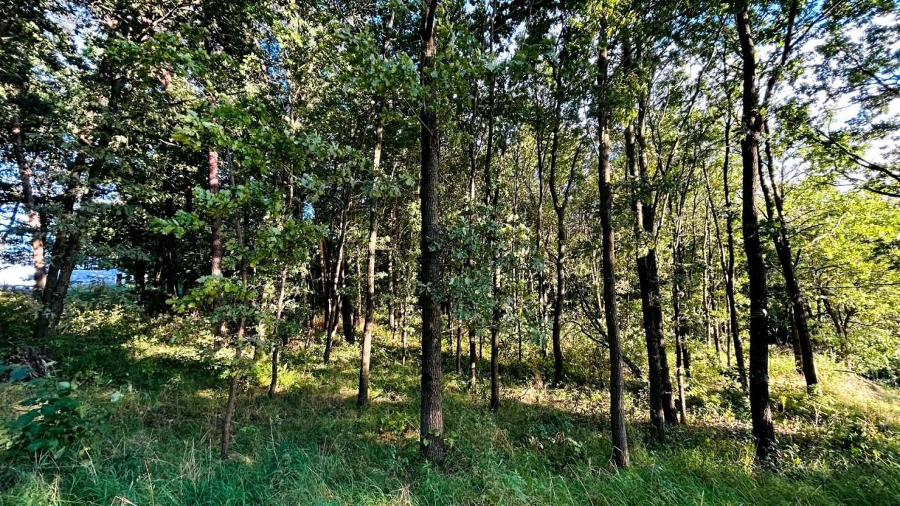 Działka rolno-budowlana Jabłonowo. Zdjęcie 8