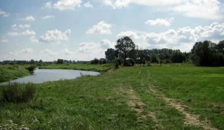 Działka rolna Suraż