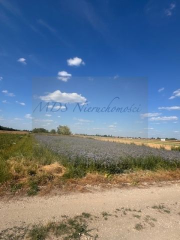 Działka budowlana Nowa Wola, ul. Ignacego Krasickiego. Zdjęcie 6