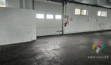 Hala/magazyn Dorotowo