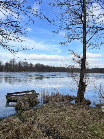 Działka rekreacyjna Dąb Polski, ul. Bratkowa. Zdjęcie 12