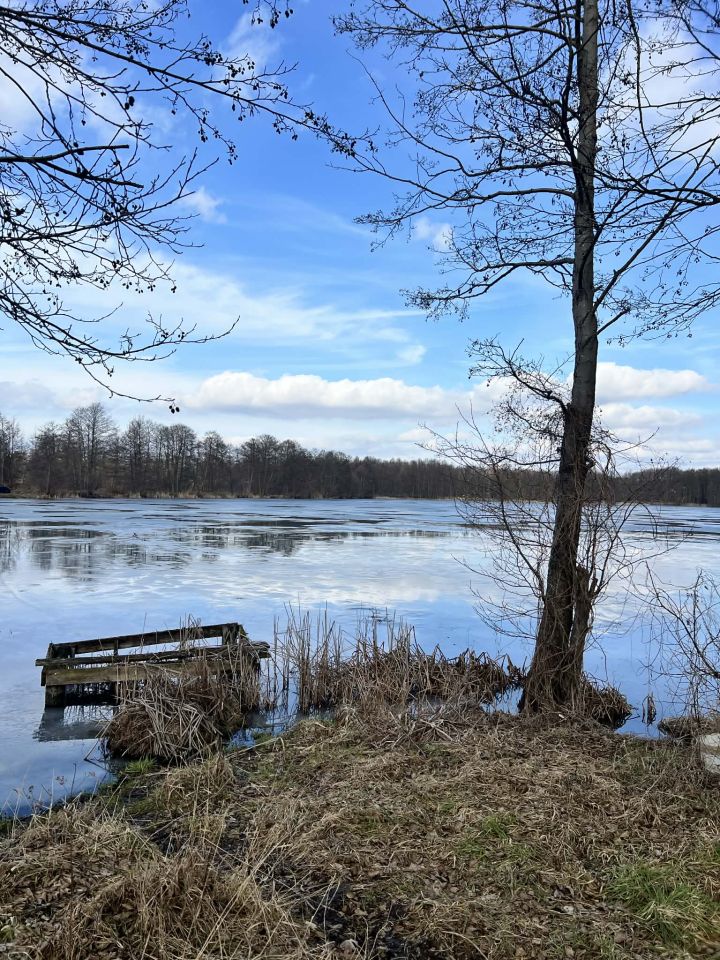 Działka rekreacyjna Dąb Polski, ul. Bratkowa. Zdjęcie 12