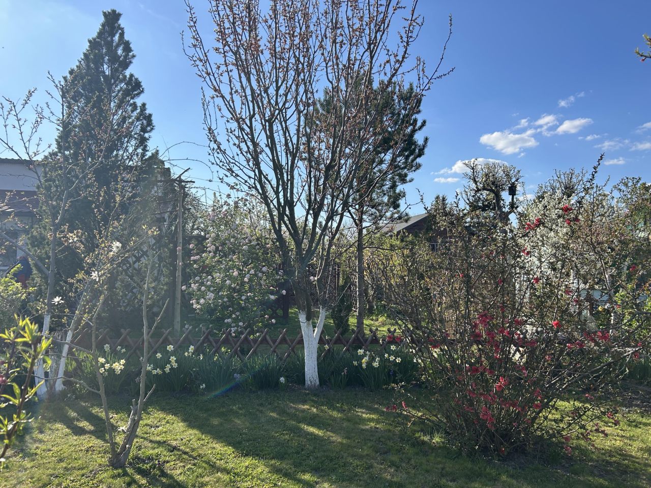 Działka rod Głogów, ul. Adama Mickiewicza. Zdjęcie 8