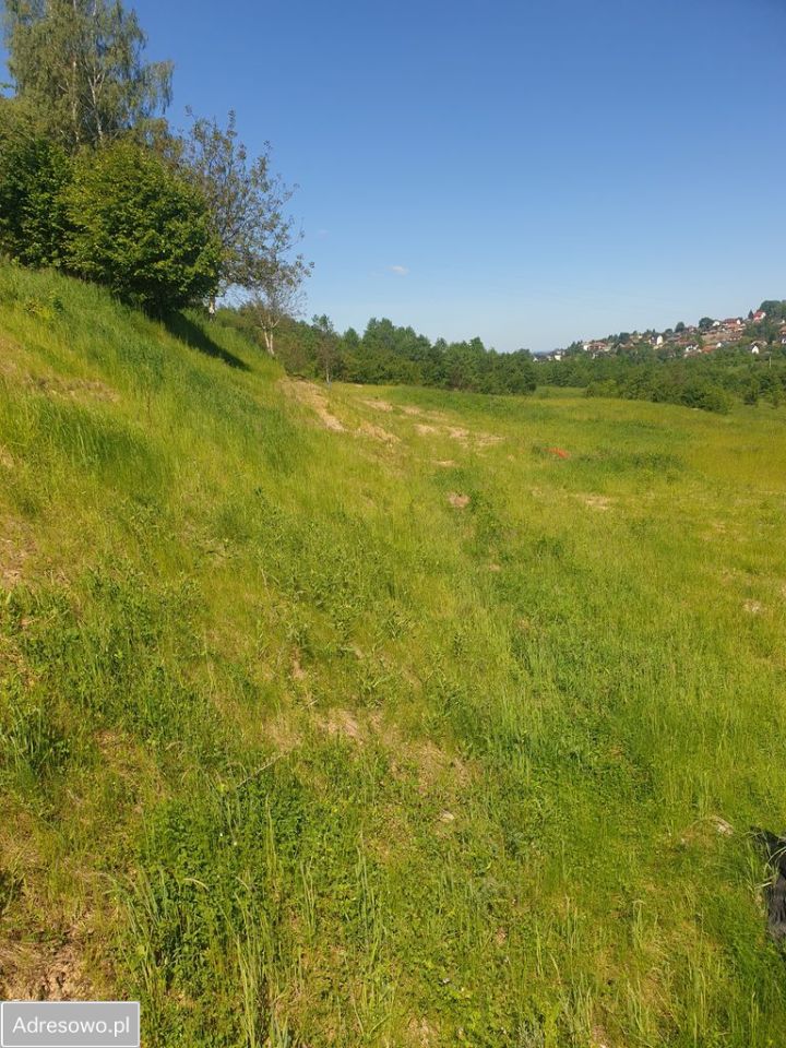 Działka budowlana Golkowice. Zdjęcie 17