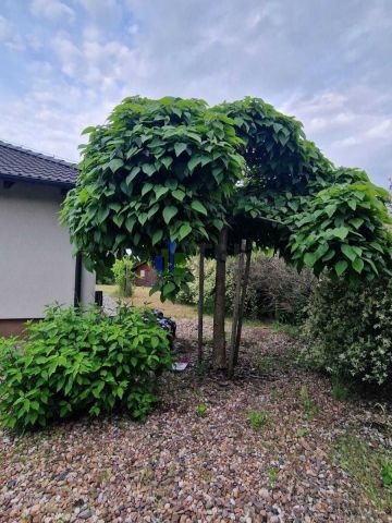 bliźniak, 3 pokoje Nadolice Wielkie. Zdjęcie 4