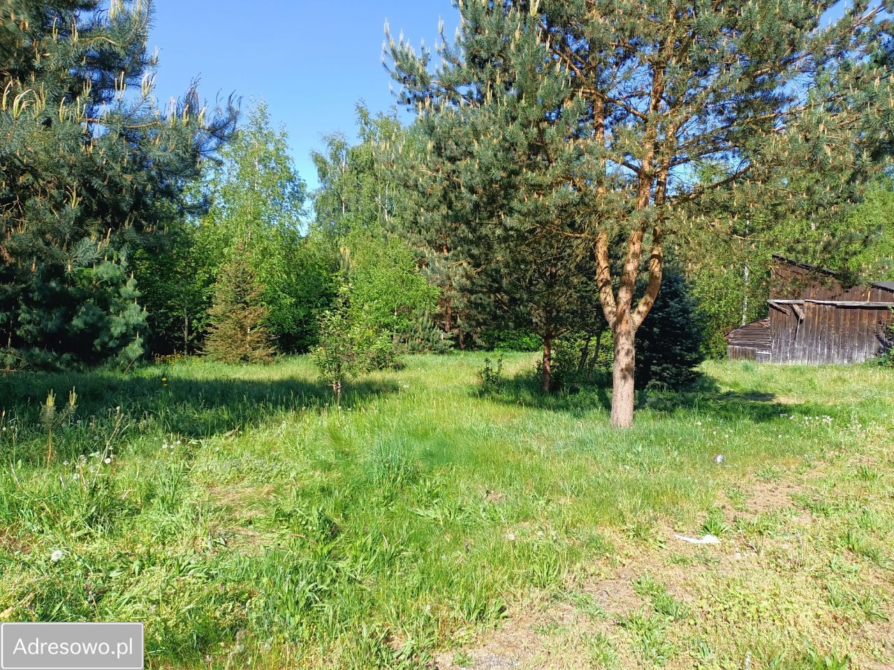 Działka Stara Wieś. Zdjęcie 13