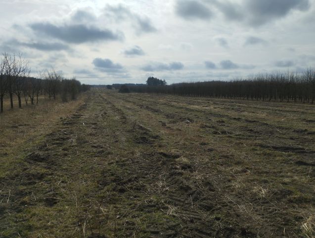 Działka rolno-budowlana Józefów. Zdjęcie 1