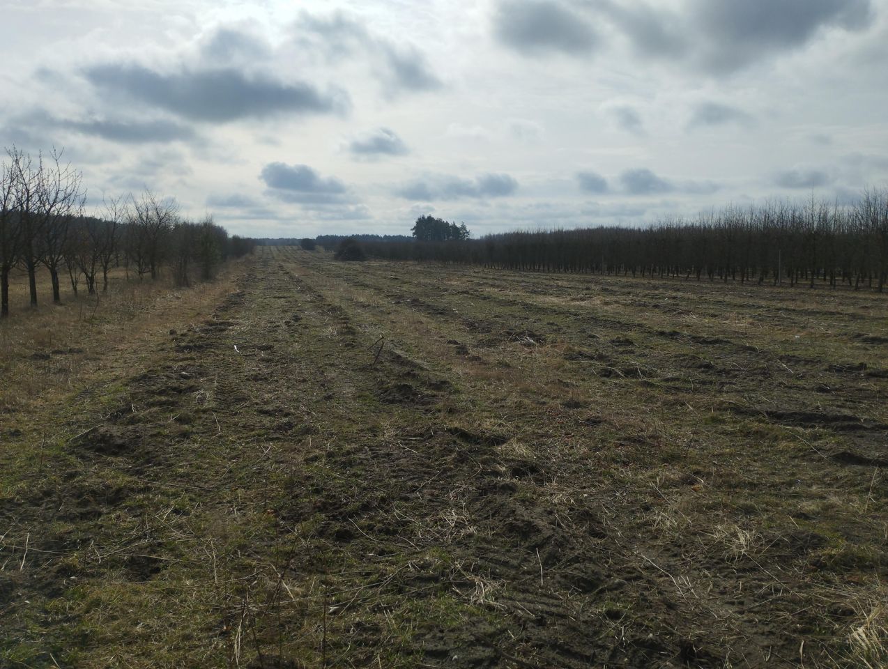 Działka rolno-budowlana Józefów