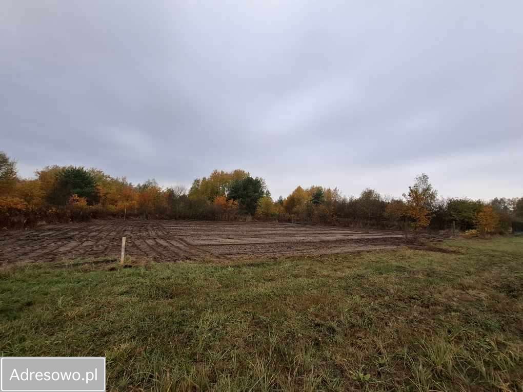 Działka rolno-budowlana Dębe Wielkie. Zdjęcie 8