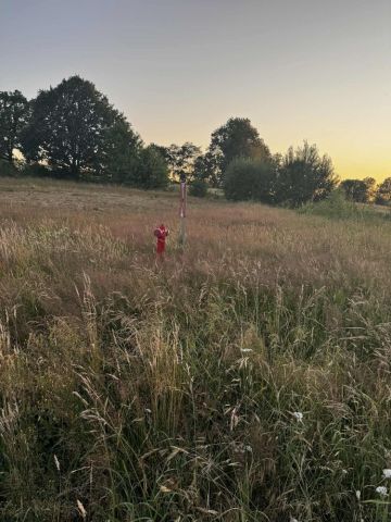 Działka budowlana Pomlewo. Zdjęcie 1