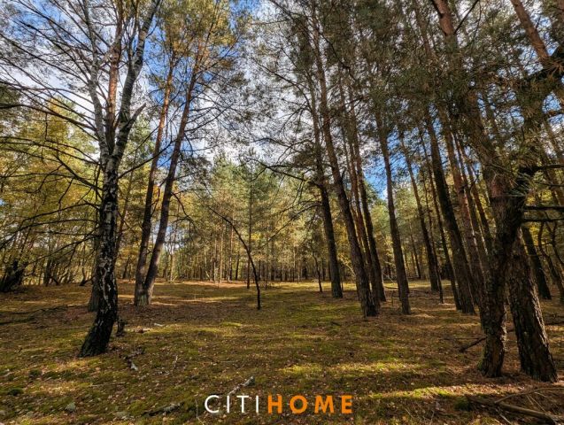 Działka siedliskowa Czarnowiec. Zdjęcie 4