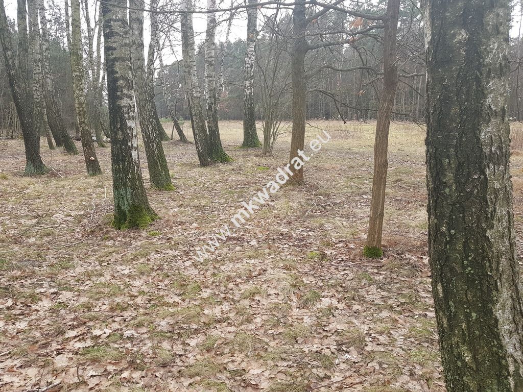 Działka budowlana Kaleń. Zdjęcie 2